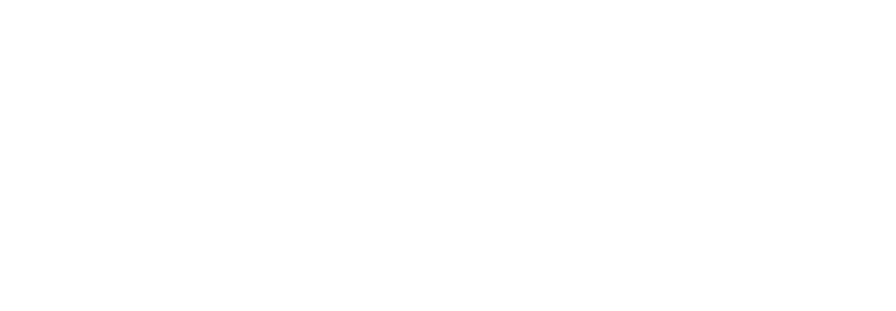 logo v blanco