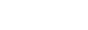 logo v blanco